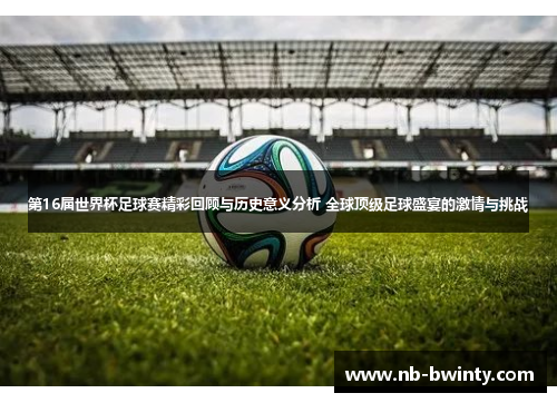 第16届世界杯足球赛精彩回顾与历史意义分析 全球顶级足球盛宴的激情与挑战