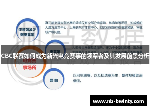 CBC联赛如何成为新兴电竞赛事的领军者及其发展前景分析