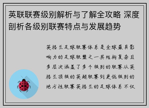 英联联赛级别解析与了解全攻略 深度剖析各级别联赛特点与发展趋势