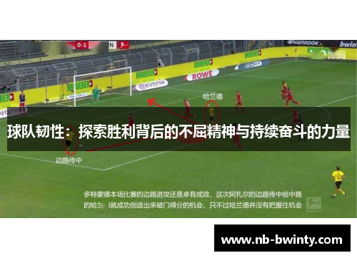 球队韧性：探索胜利背后的不屈精神与持续奋斗的力量